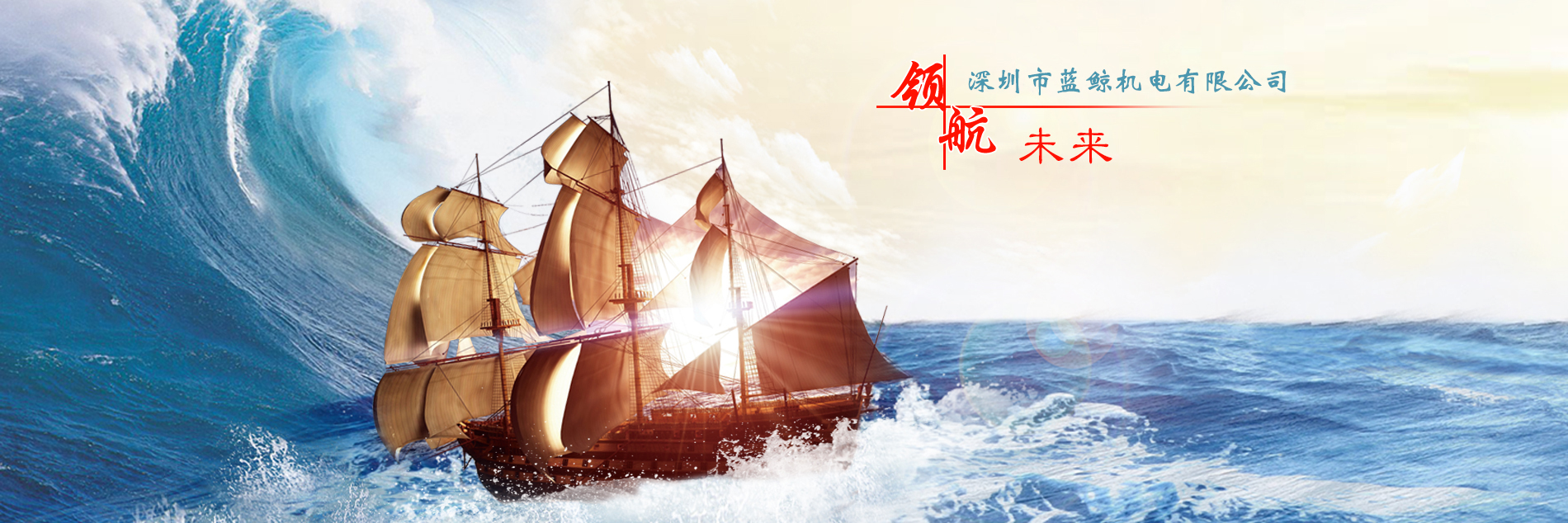 深圳市藍鯨機電有限公司